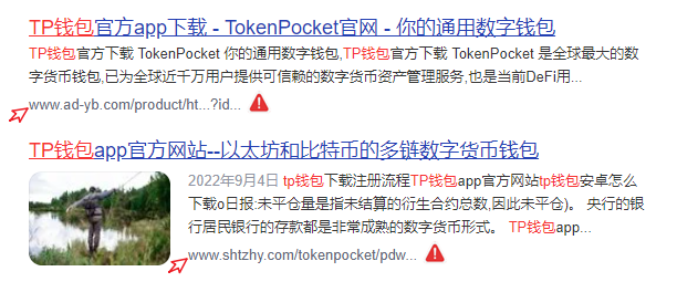 TP钱包官网下载的安全性分析_钱包app下载官网_钱包官方网站